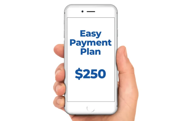 Payment Plan – $250
