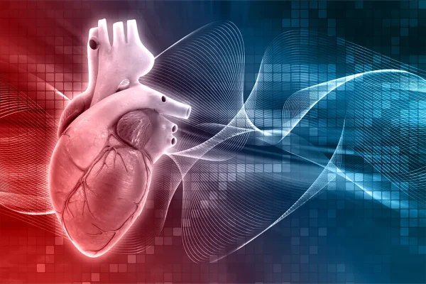 Risks with Periodontitis and Cardiovascular Disease